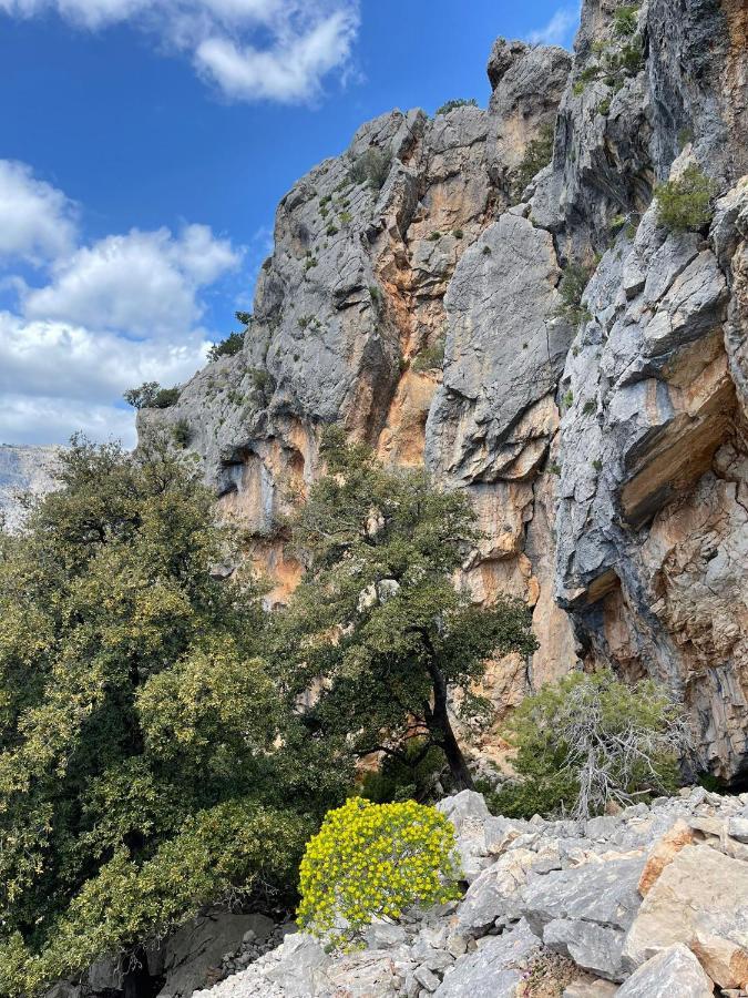 Casa Vacanze Sa Piazza Daire Dorgali Dış mekan fotoğraf